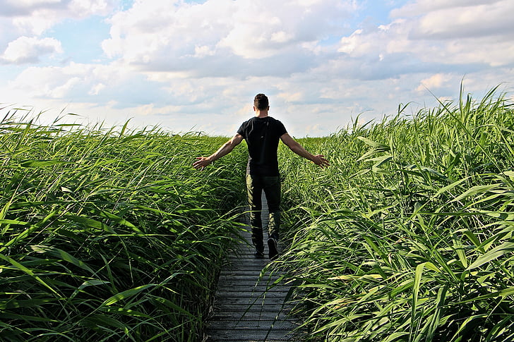 man walking on pathway surrounded by grass