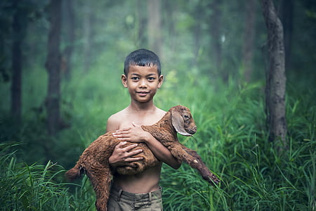 boy in gray shorts carrying a brown goat kid