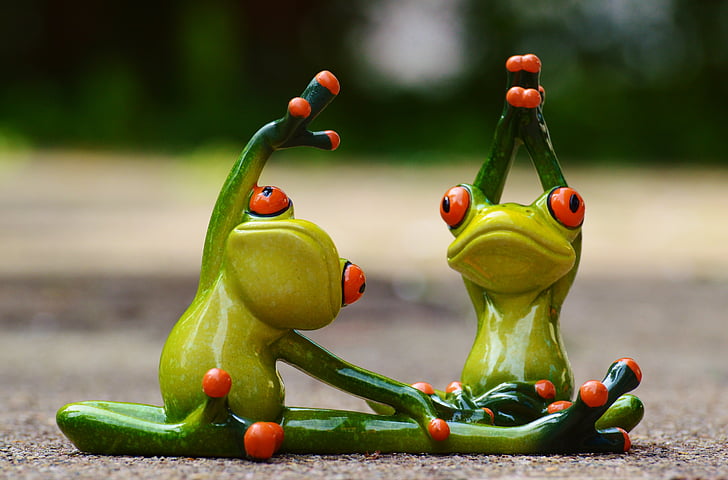 green tree frogs doing yoga