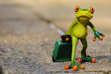green and orange frog holding green luggage figurine