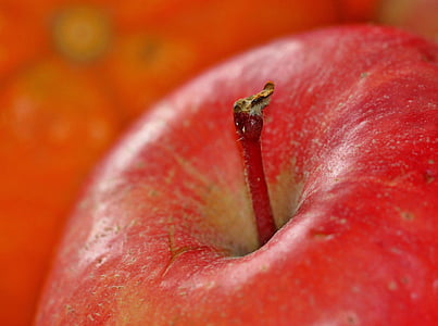 red Apple fruit