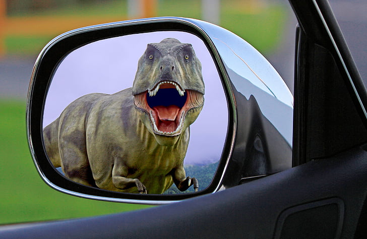 vehicle side mirror showing dinosaur