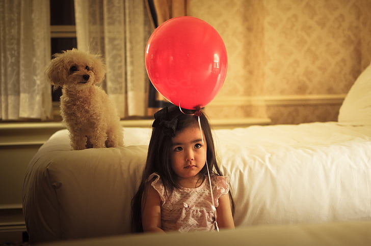 girl with red balloon beside a white poodle on bedroom