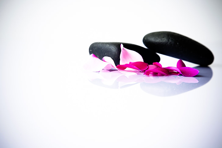 pink flowers petals and two black stones closeup photo