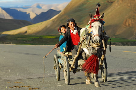 male and female Mongolians riding horse carriage during daytime