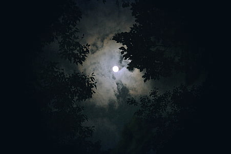 groundshot of moon during nighttime