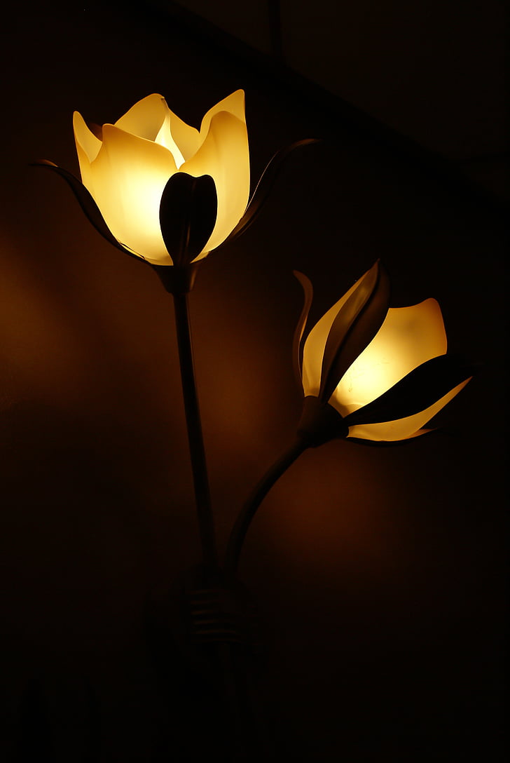 two yellow lighted flower lamps
