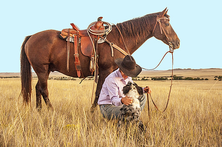 cowboy sitting near merle Australian shepherd and brown horse on brown grass field during daytime