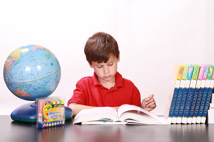 boy wearing red polo shirt reading a book