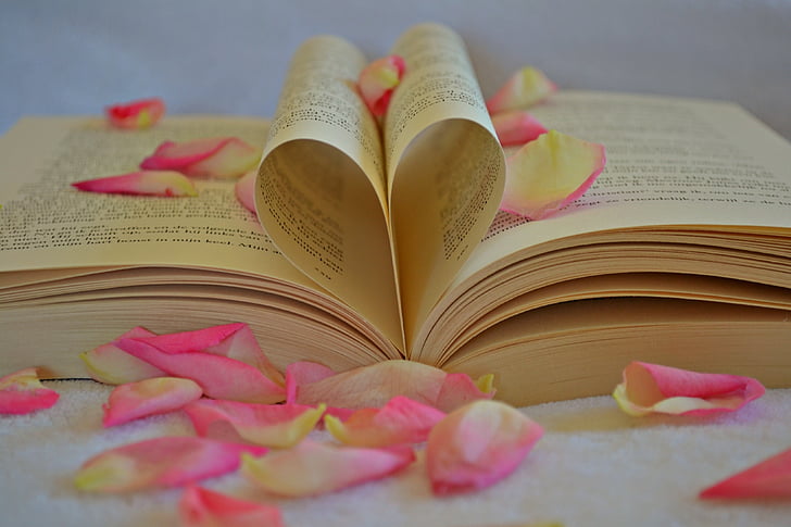 book and pink flower petals