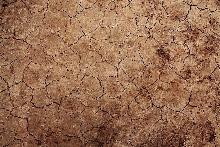 brown dried soil