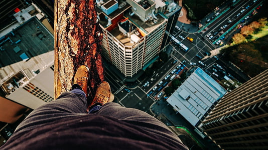 person standing on tree log with city buildings on the ground