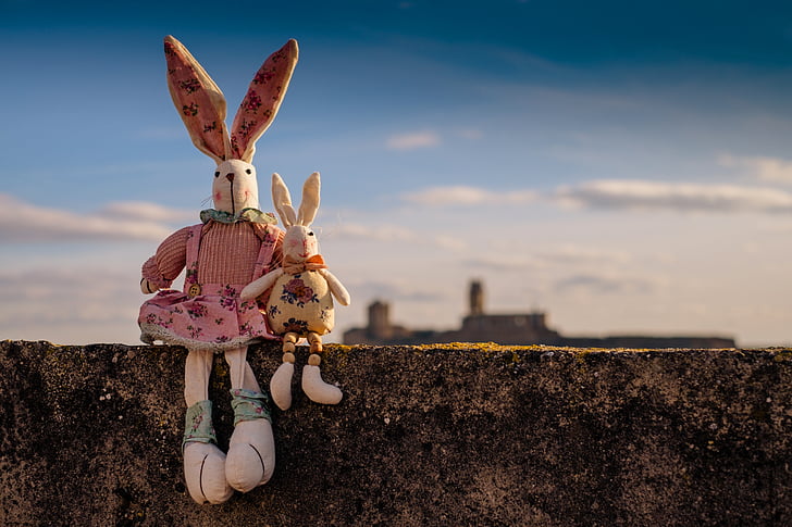 shallow focus photography of two rabbit plush toys