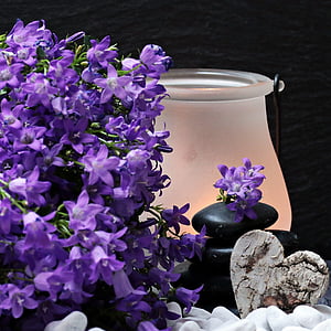 purple petaled flower beside black stone near frosted glass candle holder