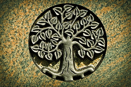 tree of life engraved graphic photo
