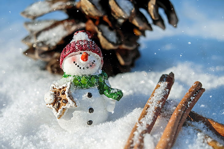 closeup photo of Snowman surrounded by snow