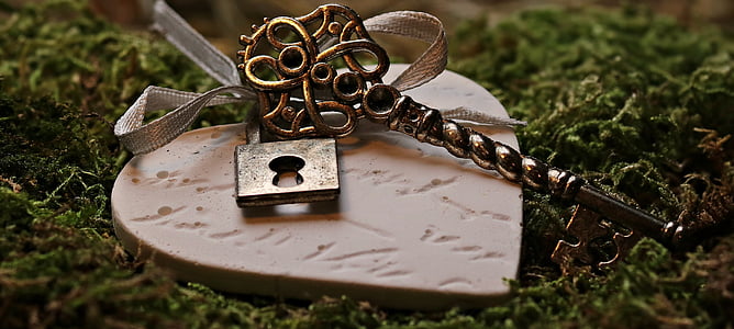 heart-shaped brown wood with padlock on grass