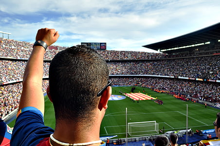 person lifting his left hand cheering in soccer stadium