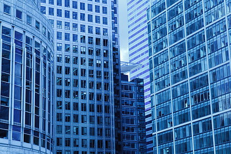 architectural blue and white city buildings
