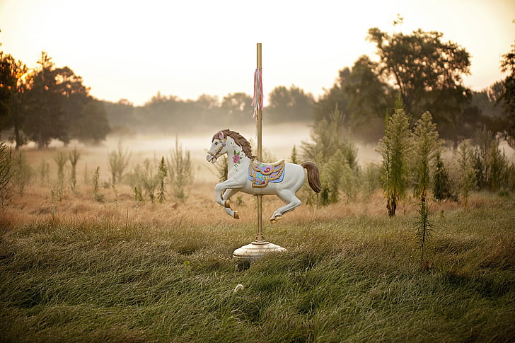 white carousel on green grass field