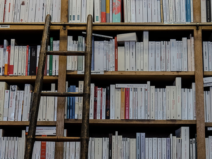 assorted-title books on bookshelf near ladder