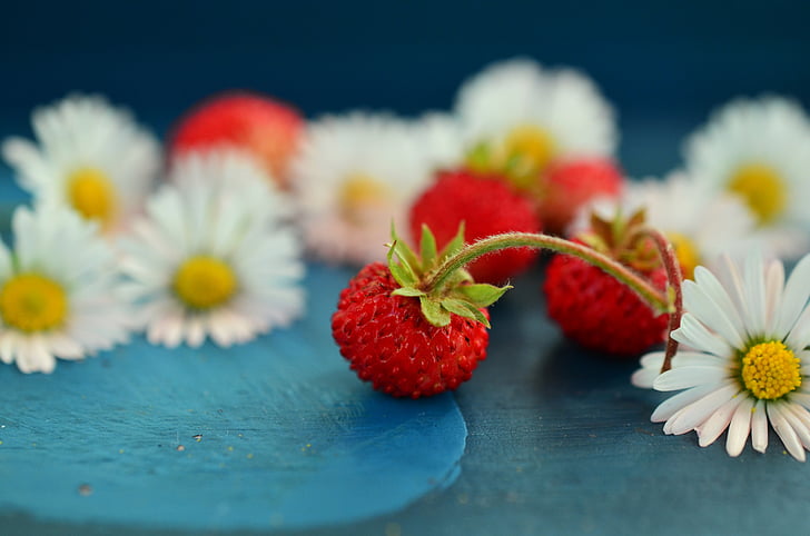close up photo of three red strawberries