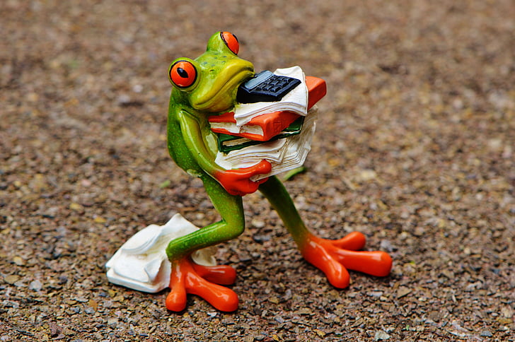 green frog carrying paper documents figurine on ground