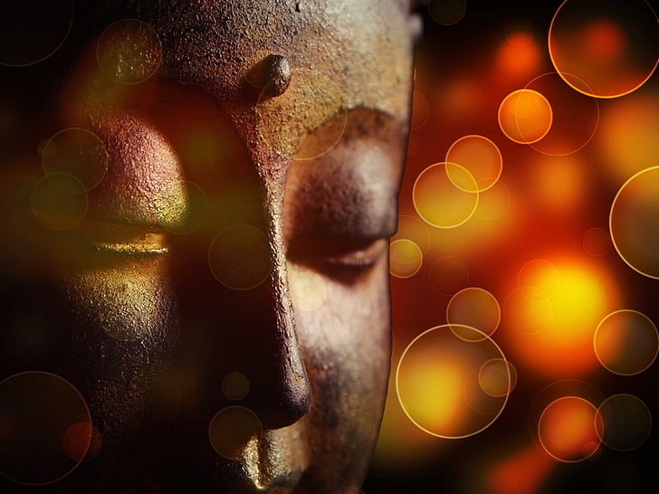 shallow focus photography Gautama Buddha