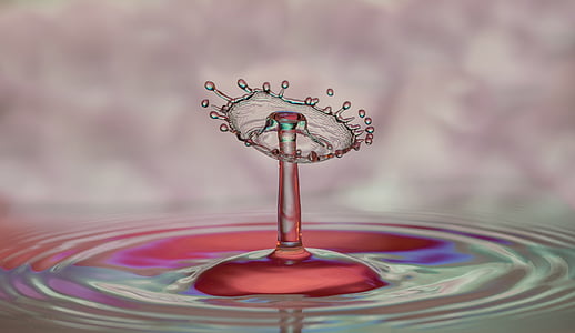 closed photography of water drop