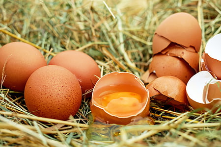 brown eggs and one brown eggs broken
