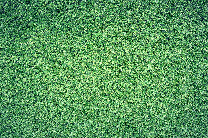 green grass field digital wallpaper