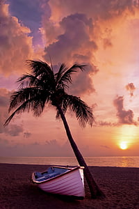 white boat beside coconut tree on the beach during sunset