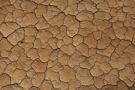 photo of brown soil