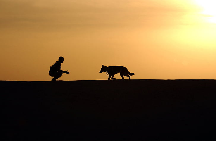 silhouette of man and adult German shepherd during sunset
