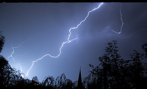 lightning strikes at tree during night time