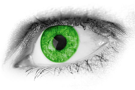 selective photo of green eye