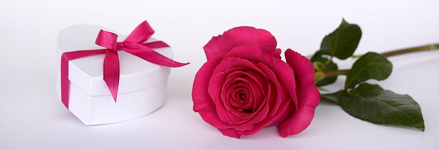 heart-shape white gift box with pink rose
