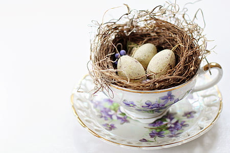 three white eggs on brown nest in white ceramic teacup with saucer
