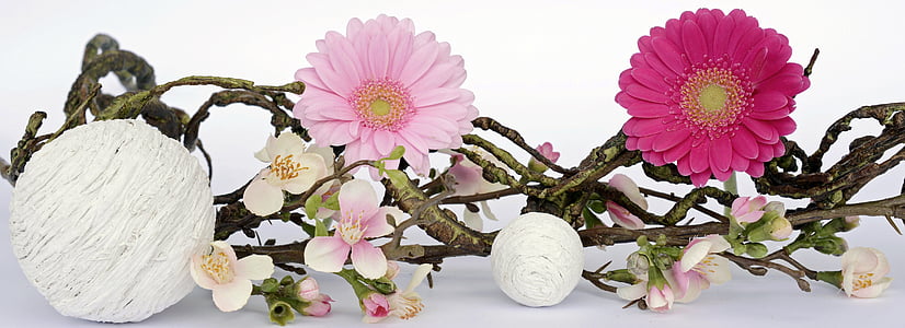 pink and white petal flower arrangement