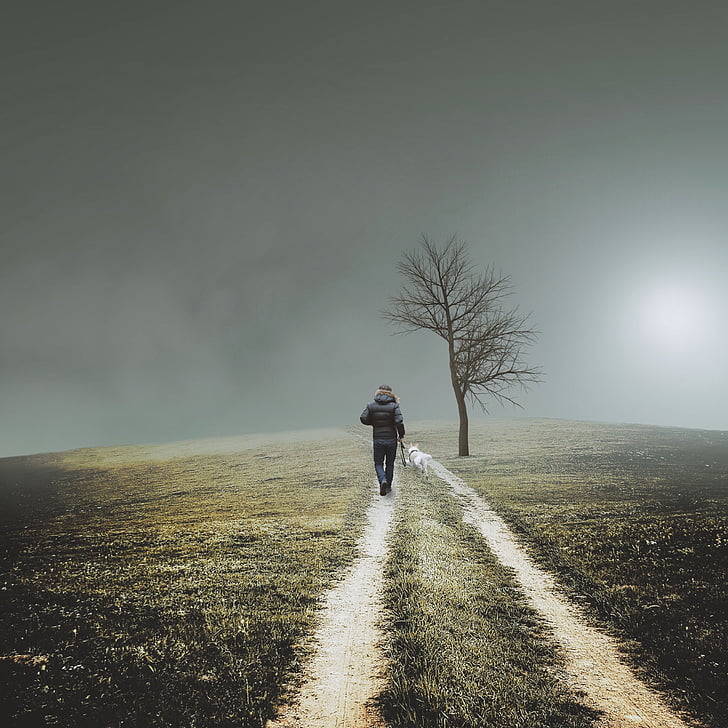 person walking on desired pathway under gray clouds