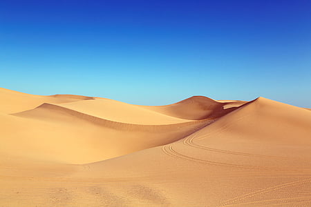 brown Desert