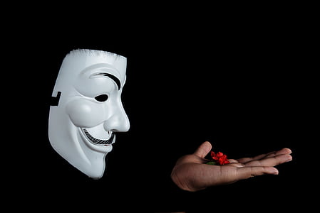 person wearing Guy Fawkes mask holding a red flower
