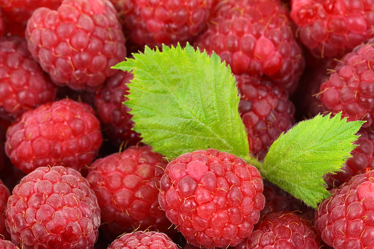 macro photography of strawberries