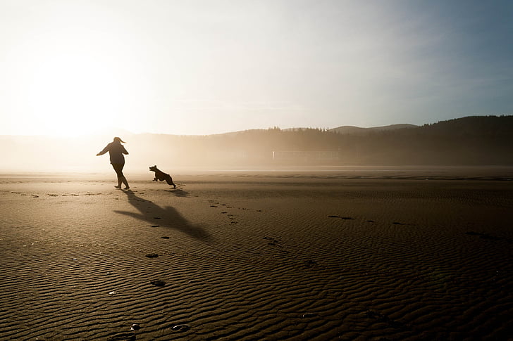 silhouette of woman and dog running on open field at daytime