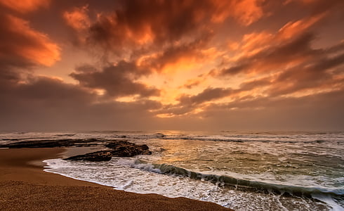 landscape photography of seashore during golden hour
