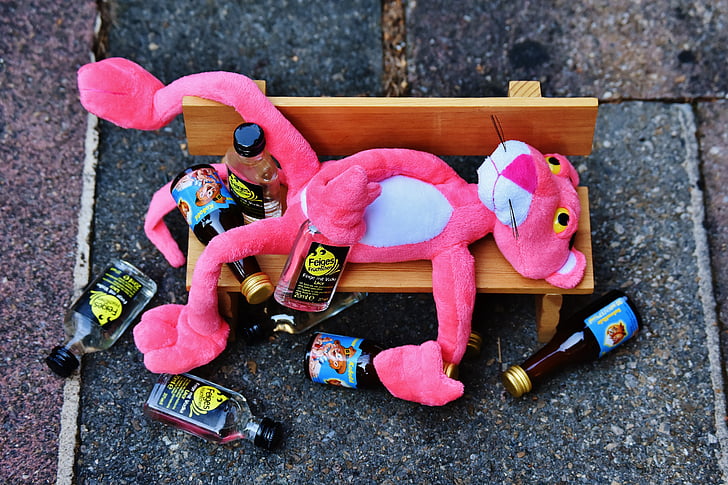 photo of Pink Panther sleeping on bench holding and surrounded by empty liquor bottles