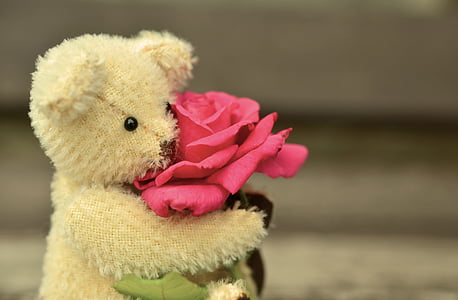 brown bear plush toy holding pink rose selective-focus photography
