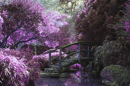 brown wooden bridge surrounded by purple trees and flowers