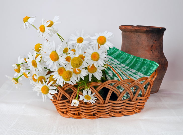 white petaled flower with basket beside clay vase