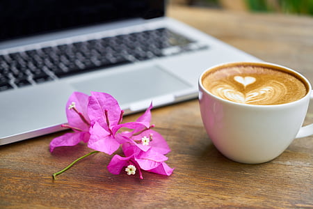 pink bougainvillea flower beside cup of coffee and silver laptop computer on brown wooden table